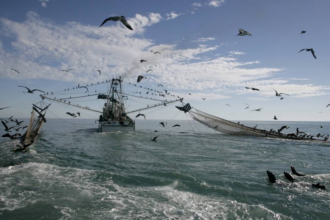 FAO apoia projeto de pesca sustentável no Nordeste