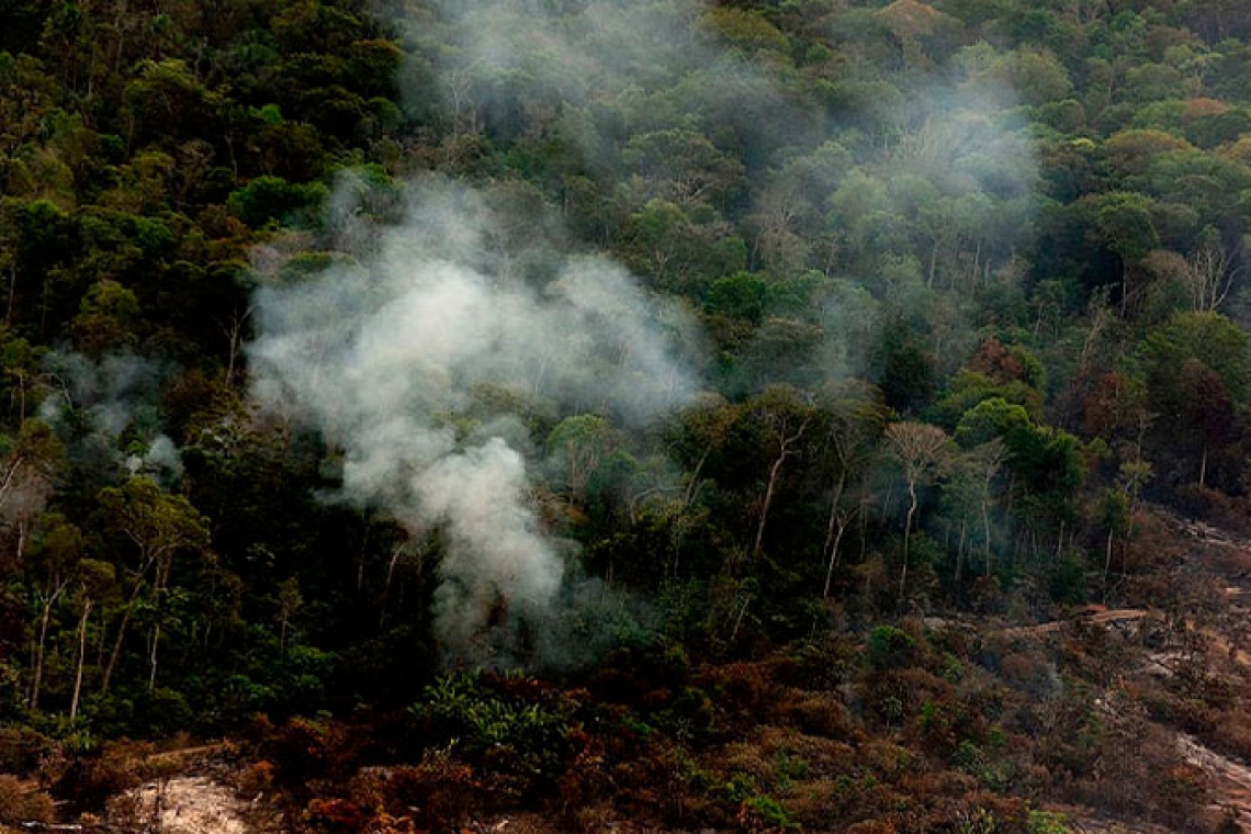 Cresce o número de alertas de desmatamento na Amazônia
