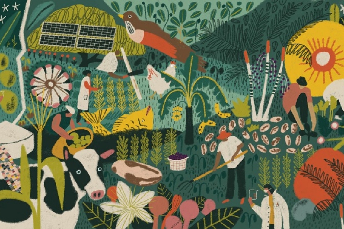 Estudo mostra que agroecologias podem ser alavanca da sustentabilidade da produção de alimentos no Brasil