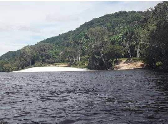 horopakp carina desana a forca do garimpo que destroi 1 papo reto