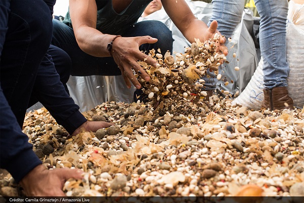 semestes muvuca ISA credito camila Grinstjn 1 papo reto